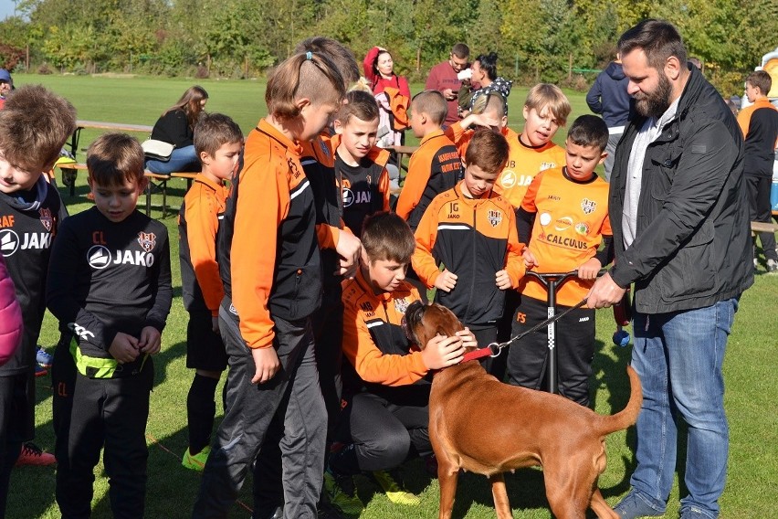 Hutnik Szczecin i Towarzystwo Opieki nad Zwierzętami zorganizowali wspólny festyn. Zagrali żeby pomóc potrzebującym zwierzętom