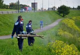 Walka z komarami. W Lublinie jest ciepło i mokro. Kiedy miasto rozpocznie odkomarzanie?