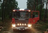 Ewakuacja obozu harcerskiego na Pomorzu! Dzięki szybkim działaniom strażaków udało się uniknąć tragedii