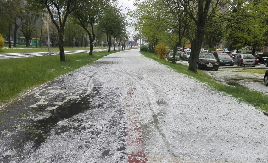 Po godzinie 18.00 świdniccy strażacy otrzymali zgłoszenia o...