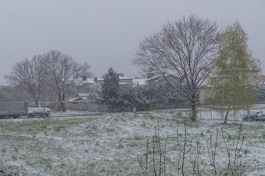 Zimowy Nowy Sącz w kwietniu