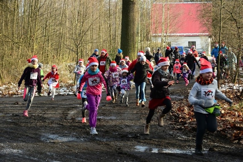 W Biegu Mikołajkowym w Lublińcu wystartowało prawie 340 osób