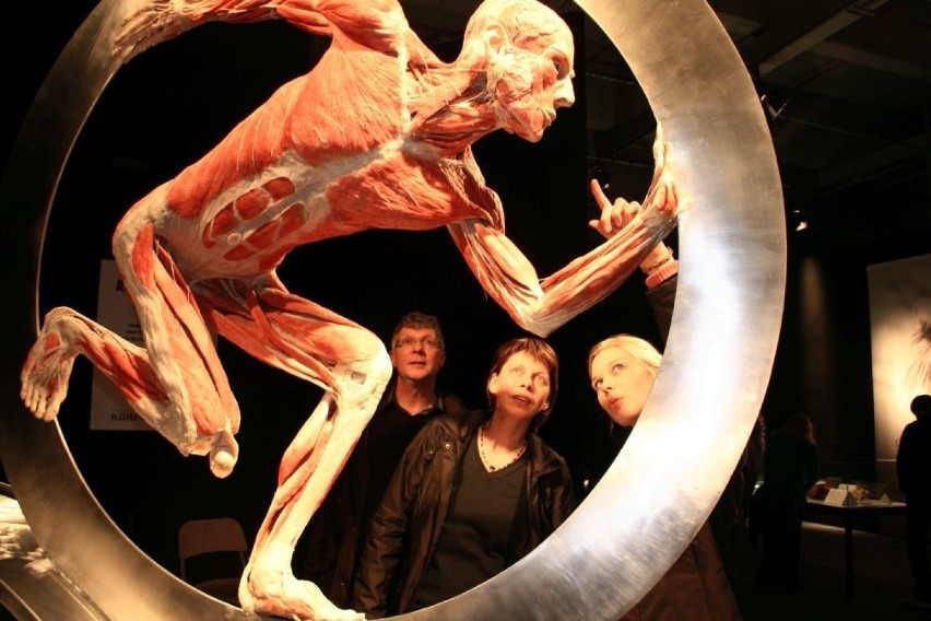 Wystawa ludzkich ciał Body Worlds w Katowicach od 10 lutego