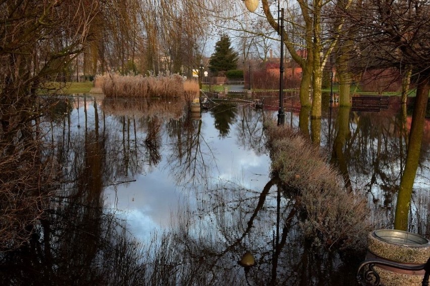 Mocno podwyższony poziom wody w Jeziorze Mogileńskim...