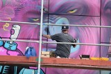 Festiwal sztuki ulicznej Fight or Die w Nowej Soli. Przyjechało kilkudziesięciu artystów sztuki ulicznej z Polski i z zagranicy 