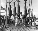 Pomorscy rybacy: Gdyby jakiś Hemingway do nas trafił, też napisałby niezłe opowiadanie