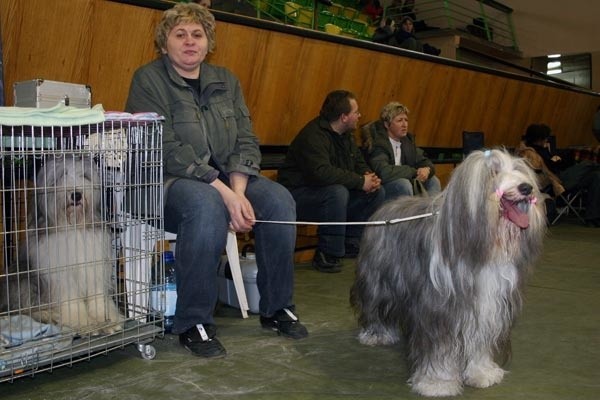 Wystawa psów w Jaroslawiu...