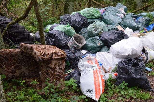 Stary fotel, dętka i worki pełne śmieci - tak wygląda w naszych lasach.
