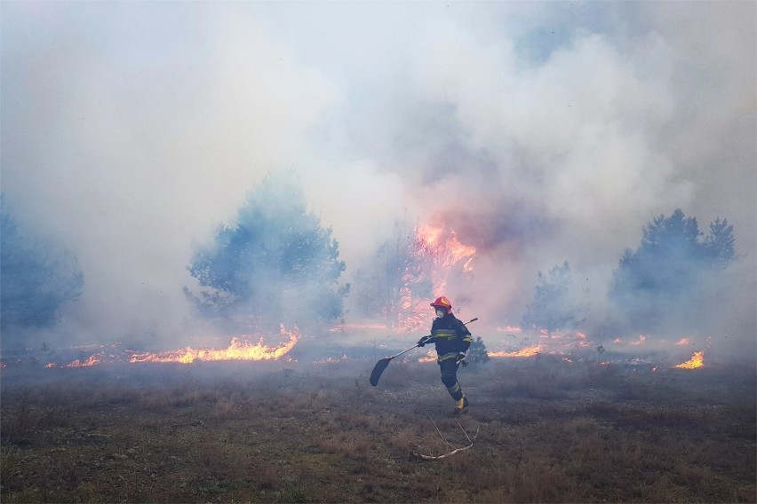 Wypalanie traw jest zabójcze dla środowiska. I bardzo...