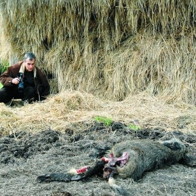 Zenon Kruczyński zabijanie zwierząt w pobliżu paśnika uważa za wyjątkowe okrucieństwo