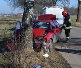 Wypadek w Kapustowie, powiat malborski: 2 osoby zostały ranne, w tym małe dziecko [ZDJĘCIA]