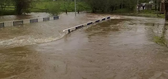 Okolice zalewu w Cedzynie - sytuacja jest dramatyczna.