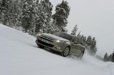 Snow Motion w Citroenie