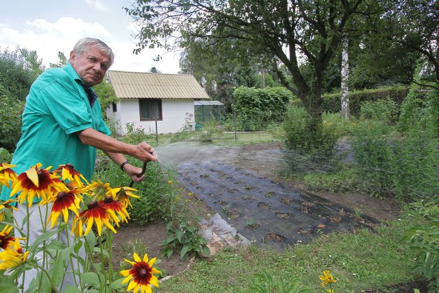 Edward Michalik, prezes rodzinnych ogródków "Biprostal" swoją działkę uprawia od 1978 r.
