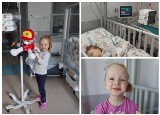 3-letnia Lilianka zmaga się z dwoma nowotworami - białaczką i guzem Wilmsa. Potrzebna pomoc
