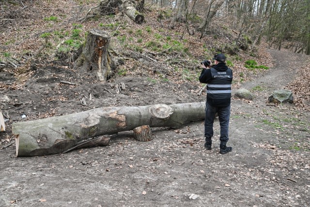 W Szczecinie trwa akcja służb, które pospieszyły z pomocą przedszkolakom poszkodowanym w trakcie zabawy na świeżym powietrzu.