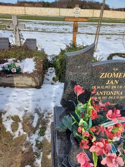 Zdewastowane groby na cmentarzu w Rybnej z powyrywanymi...