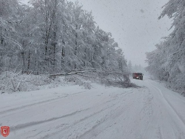 Przez nasz region przeszły intensywne opady śniegu. Warunki na drogach były bardzo trudne, wiele pracy mieli również strażacy.