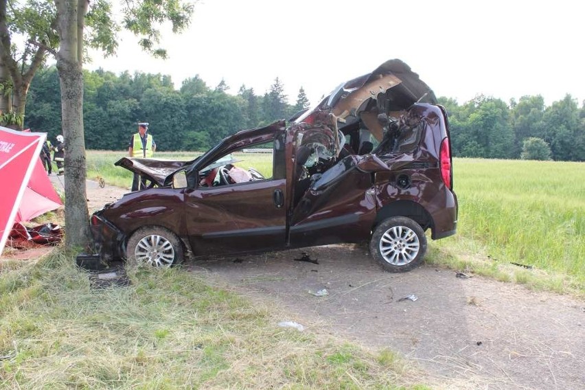 Cisia Wola. Dwie osoby zginęły w wypadku na DK7