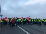 Gniew i bezradność wychodzą z gospodarstw na drogi. Protesty producentów trzody, drobiu