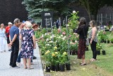 Festiwal Kwiatów w Busku-Zdroju. Wokół unosił się piękny zapach róż (ZDJĘCIA)