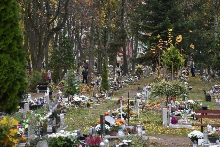 Kto ma płacić za usunięcie drzew i krzewów posadzonych przy grobach? Zielenią na Cmentarzu Komunalnym w Malborku zajmuje się zarządca 