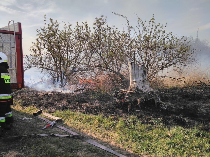 Fali pożarów w gminie Odrzywół sprzyja susza.