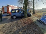 Wypadek w Gołańczy - samochód uderzył w drzewo. Ranna kobieta trafiła do szpitala 