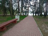 Moc atrakcji nad zalewem w Cedzynie. Będzie festiwal wiosny i zbiórka na spaloną szkołę