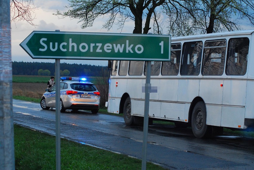 Wypadek pod Jarocinem: Potrącona 7-latka zmarła