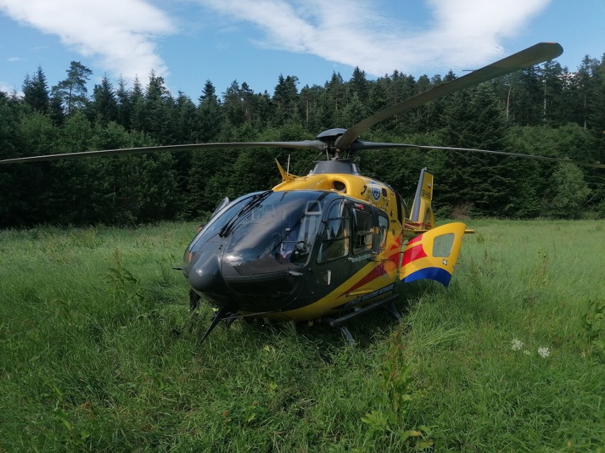Mężczyzna spadł z drzewa w lesie w Chołowicach niedaleko Przemyśla i został poważnie ranny. Na miejscu lądował śmigłowiec LPR [ZDJĘCIA]
