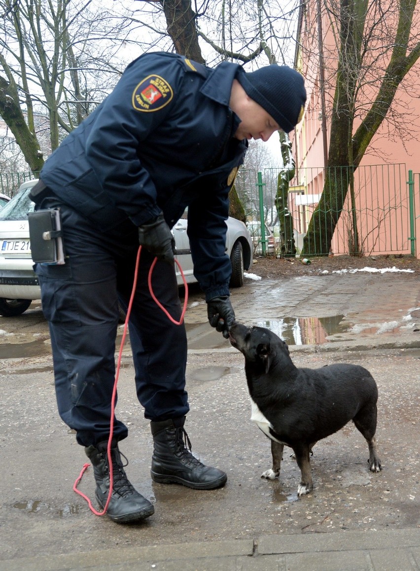 Eko-Patrol w Lublinie. Tak strażnicy miejscy dbają o środowisko (ZDJĘCIA)