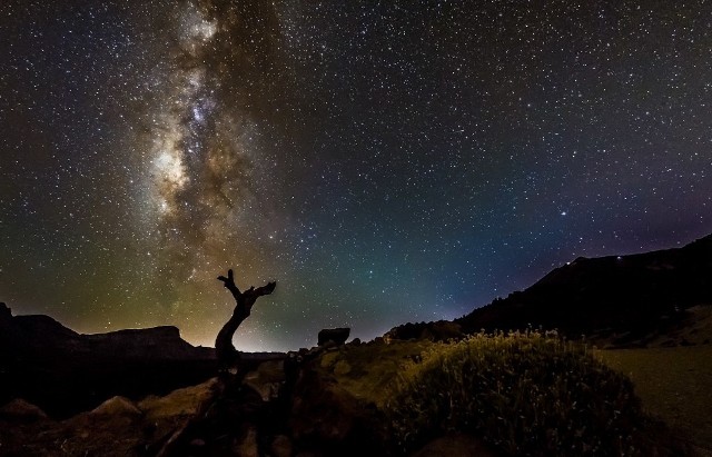 Teide National Park Canary