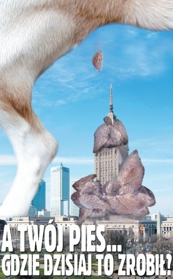 Plakat promujący akcję sprzątania po psach w Warszawie.
