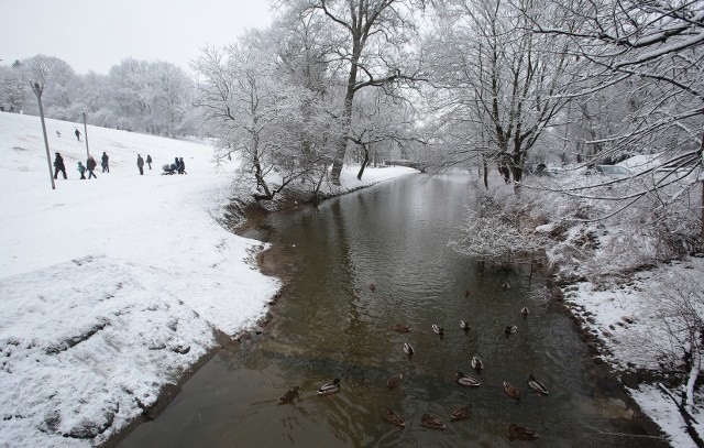 Zima w Szczecinie - styczeń 2015