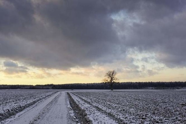 W nocy może przybyć kilka centymetrów śniegu.