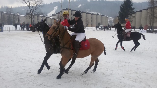 Polo na śniegu w Wiśle