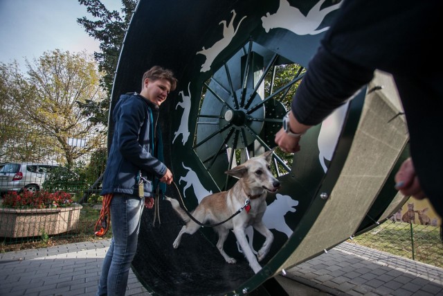 Schronisko dla zwierzątOddanie obrotowego wybiegu dla psów w schornisku dla zwierząt