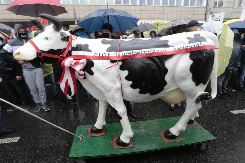 Protest rolników ZDJĘCIA 13.10. W Warszawie protestowano przeciwko "piątce dla zwierząt"