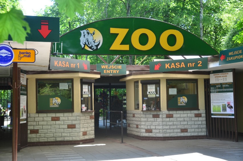 Po tym jak policja przeszukała biura poznańskiego zoo, Ewa...