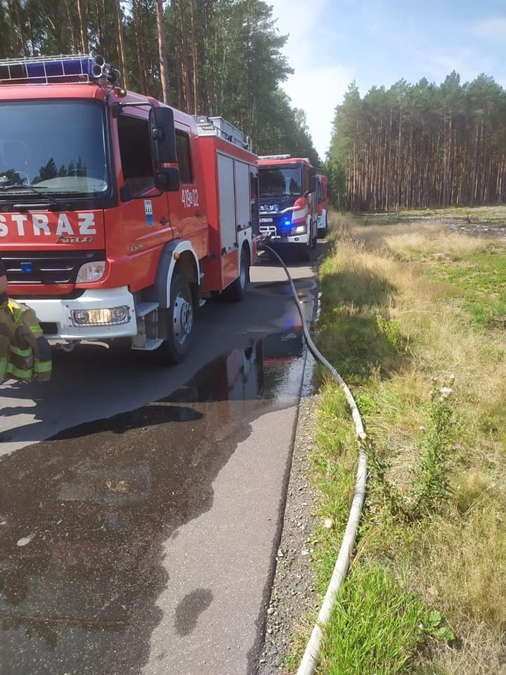 Pojechali na grzyby. Spłonął samochód. Straty oszacowano na 400 tysięcy zł