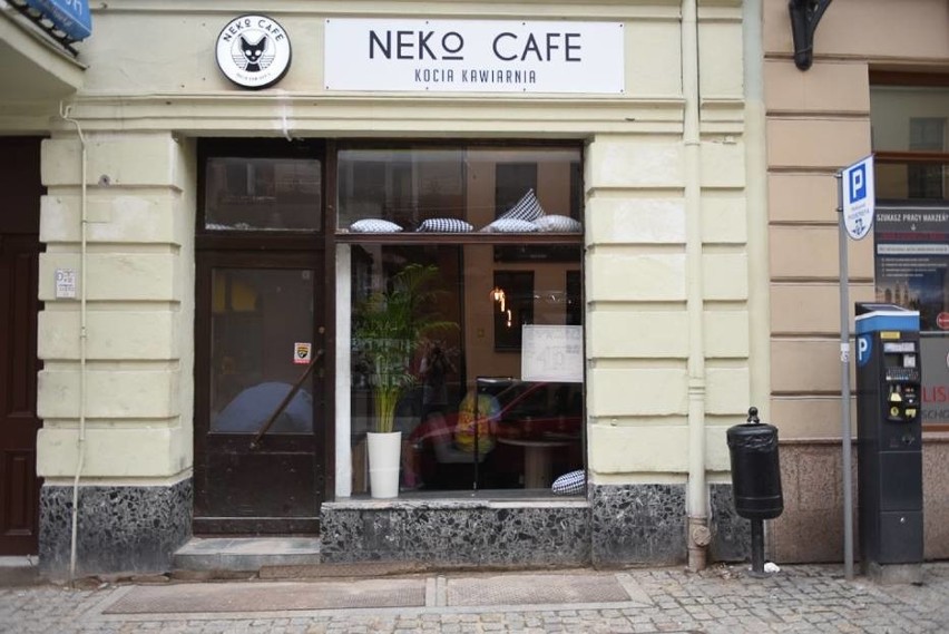 "Neko Cafe"