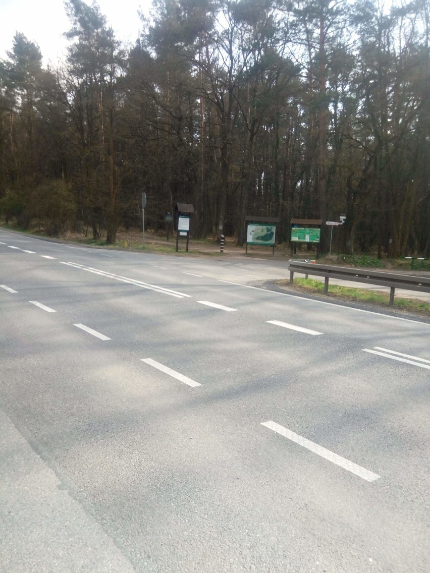 Koronawirus. Niepołomice: zamkną parkingi przy DK 75