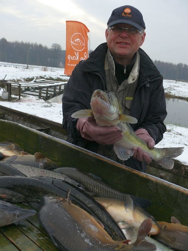 Mieczysław przy karpiach hoduje także takie smaczne ryby jak sandacze. To drapieżne ryby, mają białe mięso, są bardzo cenione na stole.