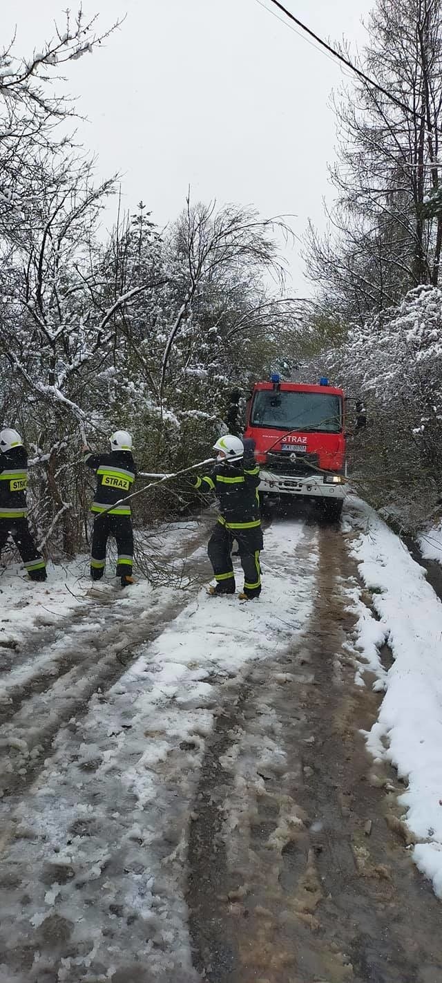 Od środy rano strażacy z jednostek OSP w powiecie wielickim pracują przy usuwaniu drzew i konarów powalonych lub pochylonych nad drogami pod naporem mokrego śniegu