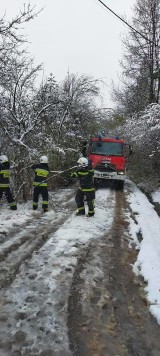 Załamanie pogody w powiecie wielickim. Śnieg „łamie” drzewa i konary. Strażacy mają bardzo dużo pracy