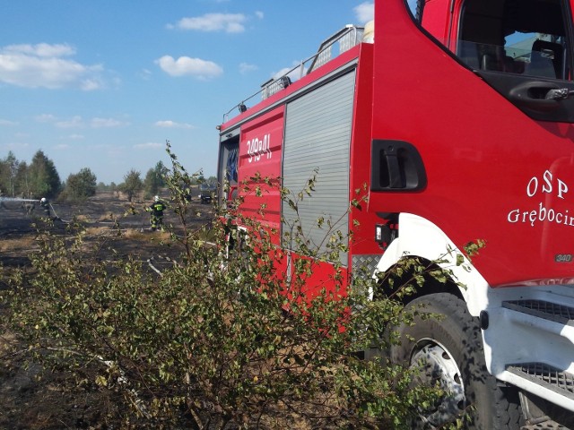 Strażacy gaszą płonące zboże w Bieganowie. Do akcji wysłani zostali z innego pożaru.