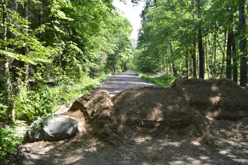 Turyści nie mogą wejść na popularny szlak w Puszczy Białowieskiej. Pojawiły się blokady z piasku, traw i gałęzi [ZDJĘCIA]