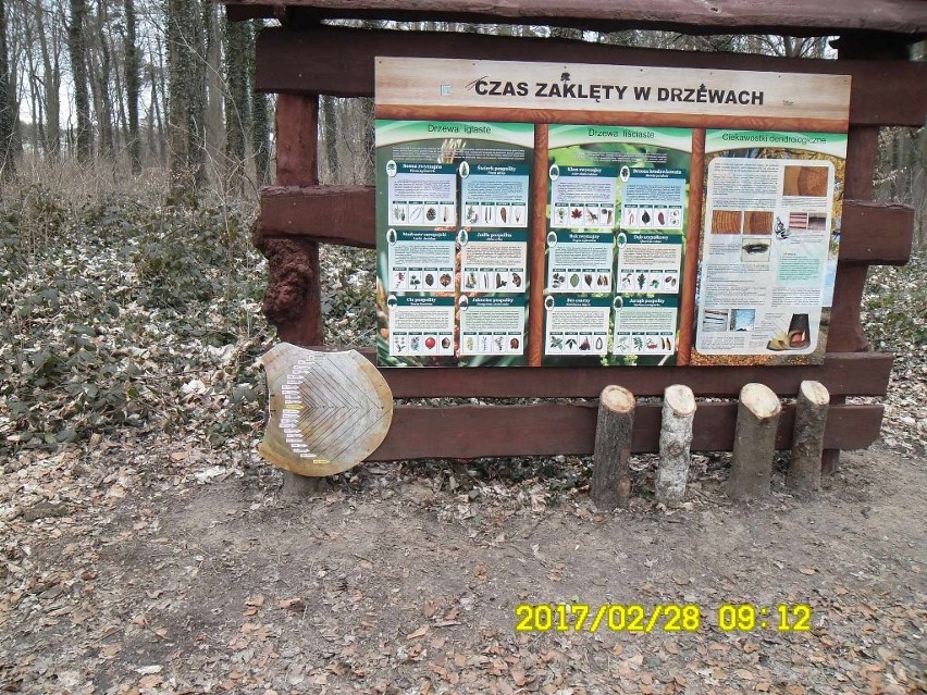 Kolejny atak wandalów w Szczecinie: zniszczyli ścieżkę edukacyjną