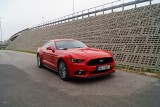 Ford Mustang GT, czyli rumak podbija Europę [video]